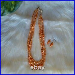 Jay King DTR Necklace And Earring SET Signed Marked 18-21 In Length